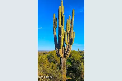 142X4 E Montello Road #2, Scottsdale, AZ 85262 - Photo 37