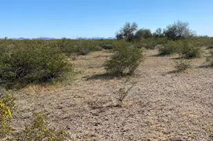 191+ W Earll Rd, Buckeye, AZ 85396 - Photo 1