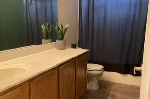 17216 W Desert Ln W, Surprise, AZ 85388 - Photo 23
