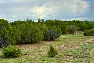 85 Co Rd 8128 --, Concho, AZ 85924 - Photo 1