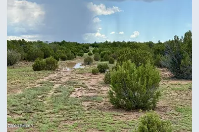 85 Co Rd 8128 -- #-, Concho, AZ 85924 - Photo 3