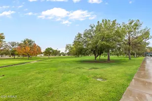 4803 W Tyson St, Chandler, AZ 85226 - Photo 47