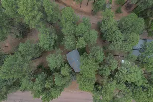 6368 W Sharyn Rd, Pine, AZ 85544 - Photo 43