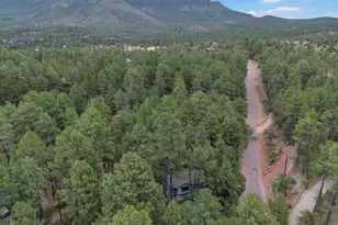 6368 W Sharyn Rd, Pine, AZ 85544 - Photo 51