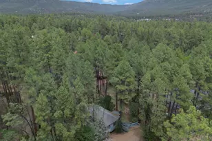 6368 W Sharyn Rd, Pine, AZ 85544 - Photo 41
