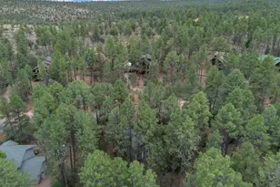 6368 W Sharyn Rd, Pine, AZ 85544 - Photo 47