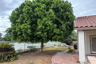 11145 W Windsor Ave, Avondale, AZ 85323 - Photo 3