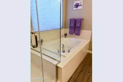 13714 W Sarano Terrace, Litchfield Park, AZ 85340 - Photo 37