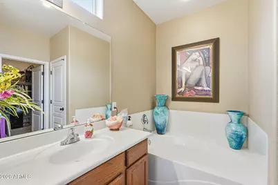 10576 E Tortilla Creek Court, Gold Canyon, AZ 85118 - Photo 19