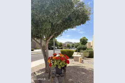 3932 W Salter Drive, Glendale, AZ 85308 - Photo 3