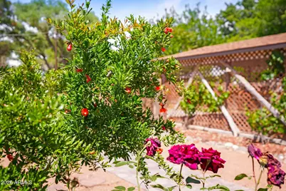 263 E Hollamon Street, Camp Verde, AZ 86322 - Photo 19