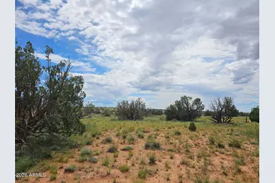 1924 Hutch Road #39, Heber, AZ 85928 - Photo 5