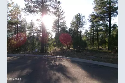 301 E Huckleberry Lane #032/033/ 034/035/036, Show Low, AZ 85901 - Photo 9