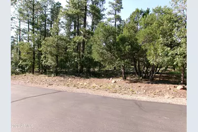 301 E Huckleberry Lane #032/033/ 034/035/036, Show Low, AZ 85901 - Photo 3