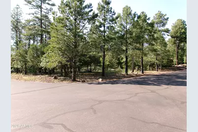 301 E Huckleberry Lane #032/033/ 034/035/036, Show Low, AZ 85901 - Photo 5