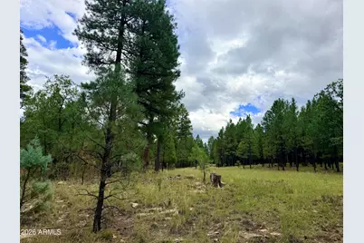 1601 Mule Deer Place #120, Happy Jack, AZ 86024 - Photo 3