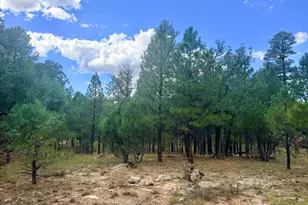 1601 Mule Deer Pl, Happy Jack, AZ 86024 - Photo 1