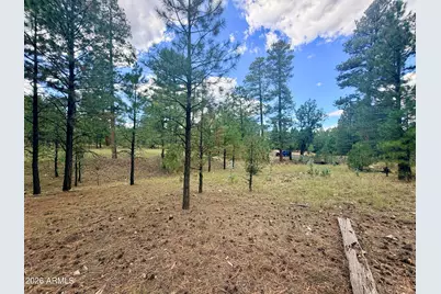 1601 Mule Deer Place #120, Happy Jack, AZ 86024 - Photo 9