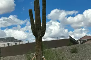 32564 N Smokeview Trl, Peoria, AZ 85383 - Photo 21