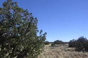 Lot 537 Chevelon Canyon Ranch Lot 537 --, Heber, AZ 85928 - Photo 1
