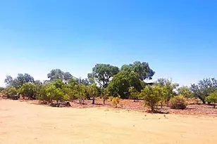 5287 W Hudgins Ranch Rd, McNeal, AZ 85617 - Photo 35