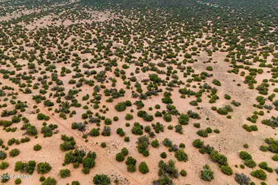 Lot 3 Witch Well Ranches -- #3, Saint Johns, AZ 85936 - Photo 15