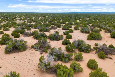 Lot 3 Witch Well Ranches -- #3, Saint Johns, AZ 85936 - Photo 1