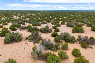 Lot 3 Witch Well Ranches --, Saint Johns, AZ 85936 - Photo 1