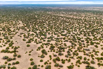 Lot 3 Witch Well Ranches -- #3, Saint Johns, AZ 85936 - Photo 13