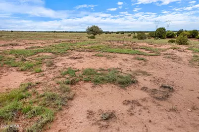 316 County Road 9211 -- #443, Concho, AZ 85924 - Photo 13