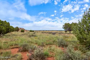 316 County Road 9211 --, Concho, AZ 85924 - Photo 1