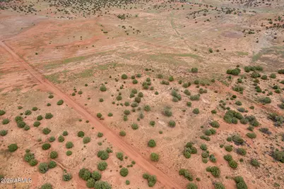 316 County Road 9211 -- #443, Concho, AZ 85924 - Photo 5