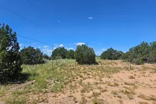 4686 State Route 277 --, Heber, AZ 85928 - Photo 5