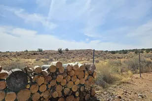 6472 River Rd, Woodruff, AZ 85942 - Photo 5