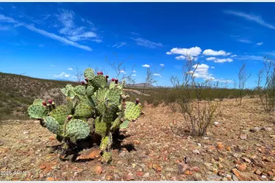 3Xx W Lonely Dove Pl -- #11, Huachuca City, AZ 85616 - Photo 35