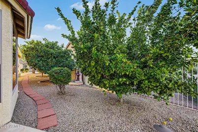 24533 S Rocky Brook Drive, Sun Lakes, AZ 85248 - Photo 37