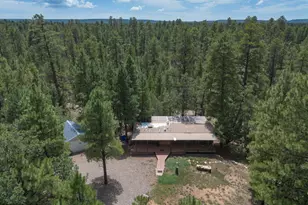 590 Jacks Canyon Dr, Happy Jack, AZ 86024 - Photo 35