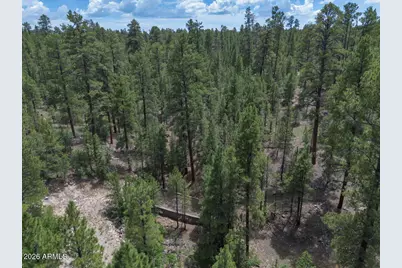 590 Jacks Canyon Drive, Happy Jack, AZ 86024 - Photo 29