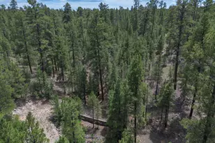 590 Jacks Canyon Dr, Happy Jack, AZ 86024 - Photo 29