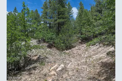 590 Jacks Canyon Drive, Happy Jack, AZ 86024 - Photo 31