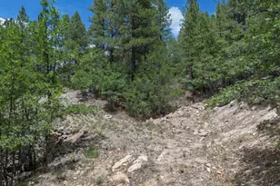 590 Jacks Canyon Dr, Happy Jack, AZ 86024 - Photo 31