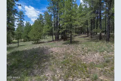 590 Jacks Canyon Drive, Happy Jack, AZ 86024 - Photo 25
