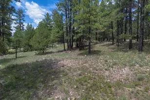590 Jacks Canyon Dr, Happy Jack, AZ 86024 - Photo 25