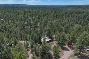 590 Jacks Canyon Dr, Happy Jack, AZ 86024 - Photo 37