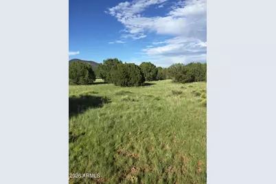 7950 Daisy Drive #25, Williams, AZ 86046 - Photo 9