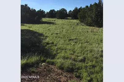 7950 Daisy Drive #25, Williams, AZ 86046 - Photo 5