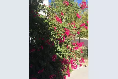 14938 N 174th Avenue, Surprise, AZ 85388 - Photo 15