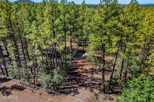 1438 Hill Dr, Pinetop, AZ 85935 - Photo 43