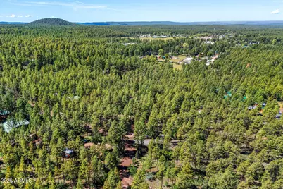1438 Hill Drive, Pinetop, AZ 85935 - Photo 41