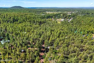 1438 Hill Dr, Pinetop, AZ 85935 - Photo 41